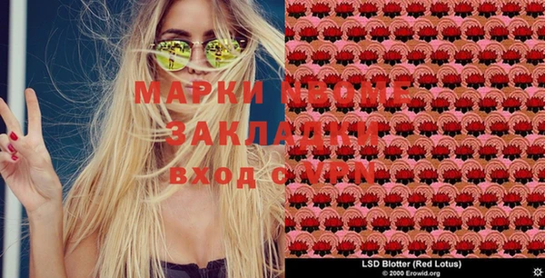 шишки Липки