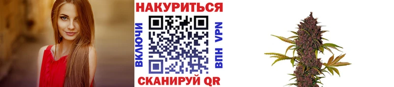 Каннабис VHQ  Купить закладки  Кировград 